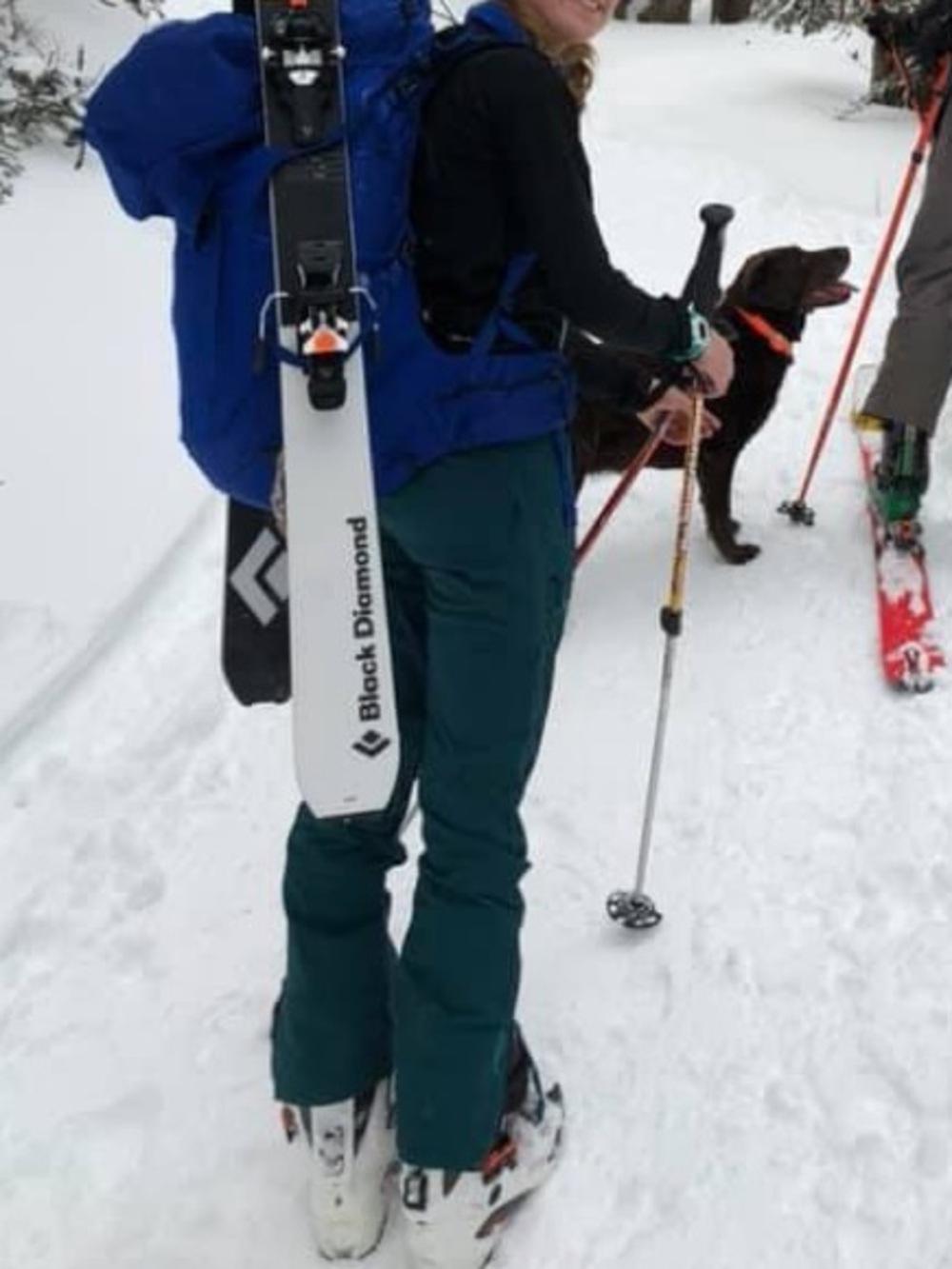 Marmot Blu Softshell Pants - Picture 3 of 3